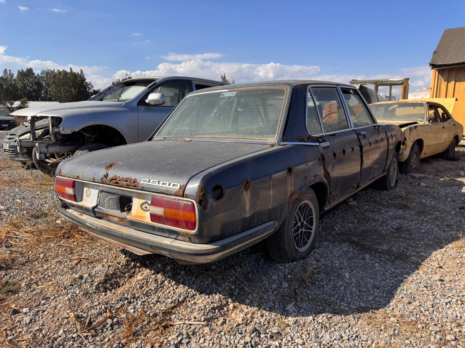 WhatsApp Image 2025-10-16 at 14.49.43