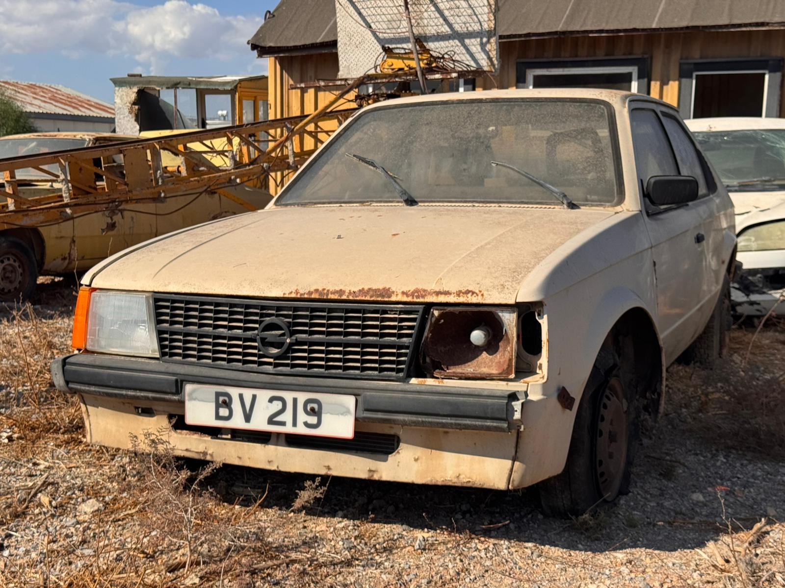 WhatsApp Image 2025-10-16 at 14.49.44